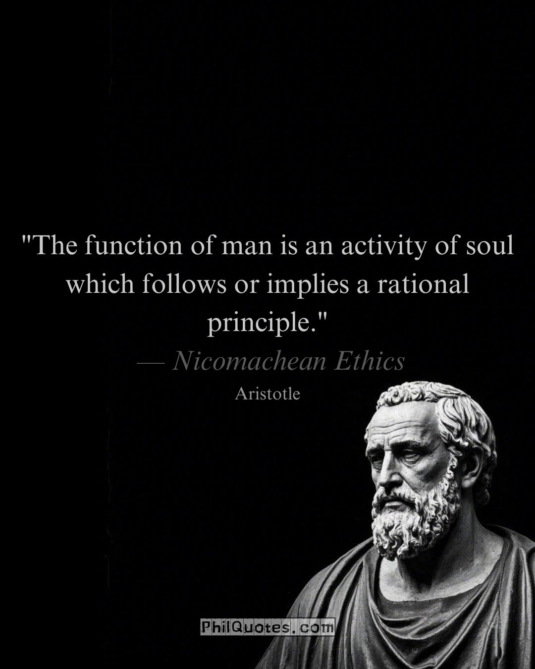 Aristotle Nicomachean Ethics Quote: “The function of man is an activity of soul which follows or implies a rational principle.”​