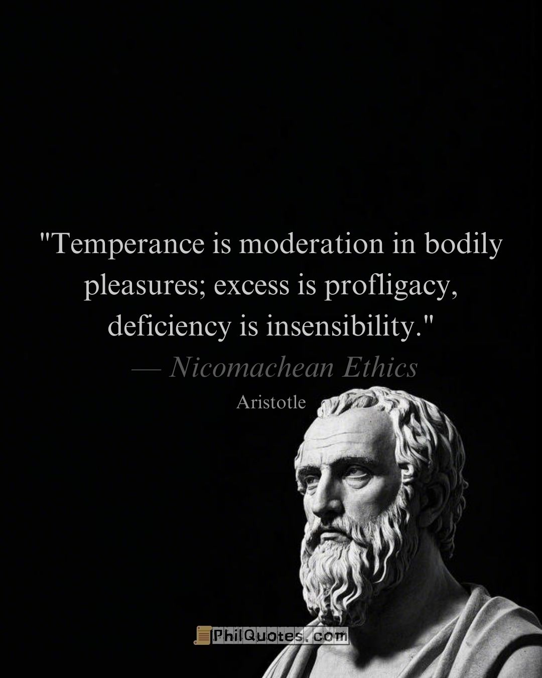 Aristotle Nicomachean Ethics Quote: “Temperance is moderation in bodily pleasures; excess is profligacy, deficiency is insensibility.”​